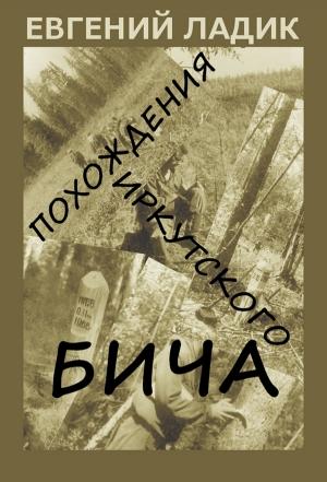 Обложка книги «Похождения иркутского бича» — Евгений Ладик