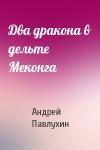 Андрей Павлухин - Два дракона в дельте Меконга