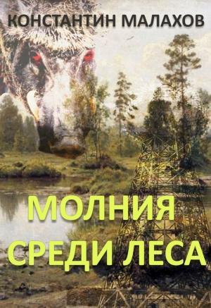 Обложка книги «Молния среди леса» — Константин Малахов