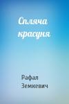 Рафал Земкевич - Спляча красуня