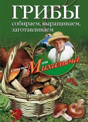 Обложка книги «Грибы. Собираем, выращиваем, заготавливаем» — Николай Звонарев