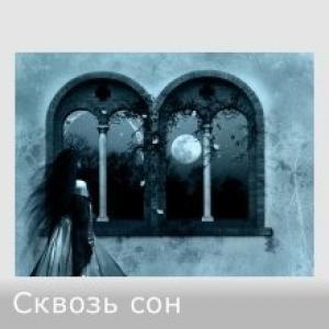 Обложка книги «Сквозь сон (СИ)» — Ольга Дорогутина