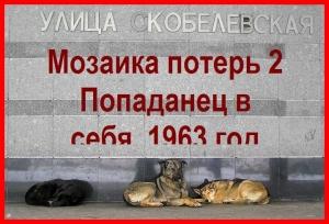 Обложка книги «Попаданец в себя, 1963 год» — Владимир Круковер