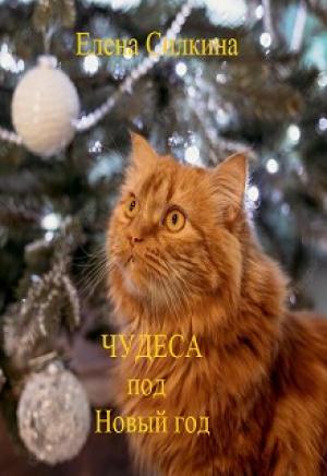 Обложка книги «Чудеса под Новый год» — Елена Викторовна Силкина