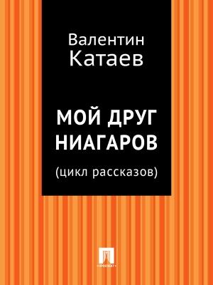 Обложка книги «Мой друг Ниагаров» — Валентин Катаев