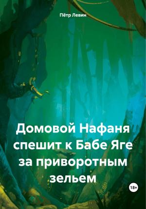 Обложка книги «Домовой Нафаня спешит к Бабе Яге за приворотным зельем» — Петр Левин