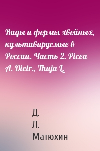 Виды и формы хвойных, культивируемые в России. Часть 2. Picea A. Dietr., Thuja L.