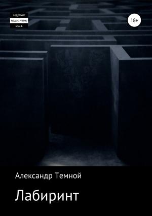 Обложка книги «Лабиринт» — Александр Темной