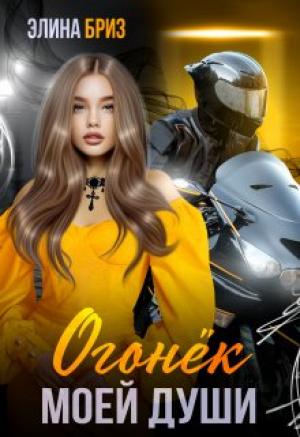 Обложка книги «Огонек моей души» — Элина Бриз