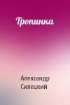 Александр Силецкий - Тропинка