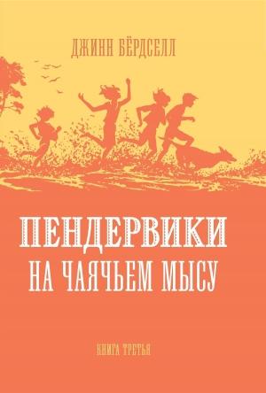 Обложка книги «Пендервики на Чаячьем Мысу» — Джинн Бёрдселл