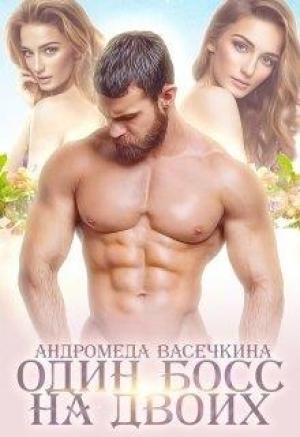 Обложка книги «Один босс на двоих» — Андромеда Васечкина