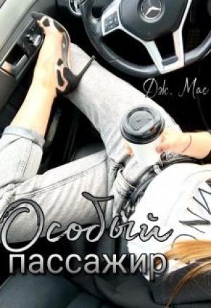 Обложка книги «Особый пассажир (ЛП)» — Дж. Мас