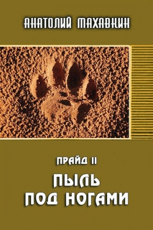 Обложка книги «Пыль под ногами» — Анатолий Махавкин