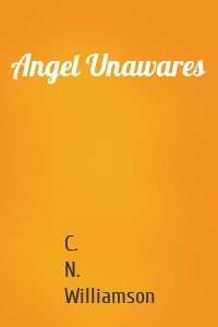 Angel Unawares