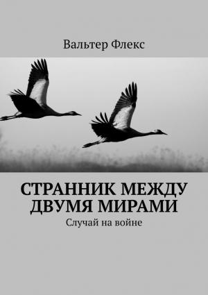 Обложка книги «Странник между двумя мирами» — Вальтер Флекс