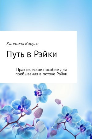 Обложка книги «Путь в Рэйки» — Катерина Каруна