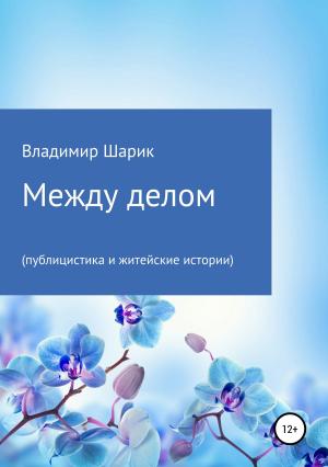 Обложка книги «Между делом (публицистика и житейские истории)» — Владимир Шарик