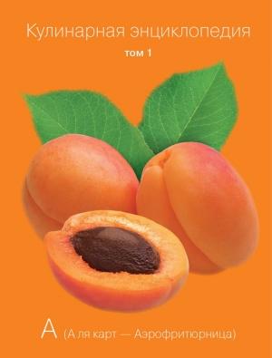 Обложка книги «Кулинарная энциклопедия. Том 1. А (А ля карт – Аэрофритюрница)» — Наталья Шинкарёва, Мария Захарова