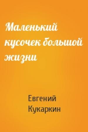 Обложка книги «Маленький кусочек большой жизни» — Евгений Кукаркин