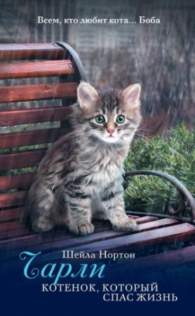 Обложка книги «Чарли. Котенок, который спас жизнь» — Шейла Нортон