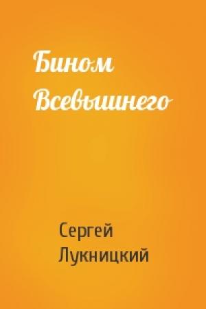 Обложка книги «Бином Всевышнего» — Сергей Лукницкий