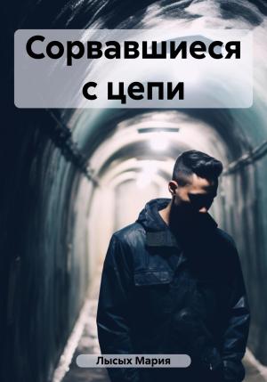 Обложка книги «Сорвавшиеся с цепи» — Мария Лысых