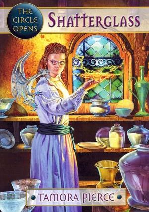 Обложка книги «Круг Раскрывается: Разбитое Стекло» — Тамора Пирс