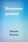 Михаил Волохов - Непорочное зачатие