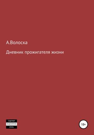Обложка книги «Дневник прожигателя жизни» — А. Волоска