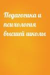  - Педагогика и психология высшей школы