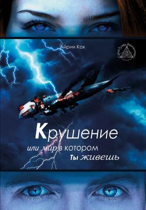 Обложка книги «Крушение или мир в котором ты живешь» — Айрин Кох