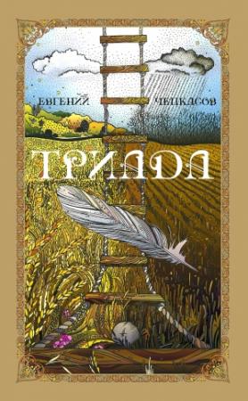Обложка книги «Триада» — Евгений Чепкасов