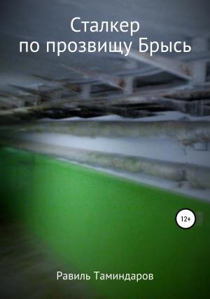 Обложка книги «Сталкер по прозвищу Брысь» — Равиль Таминдаров