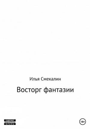 Обложка книги «Восторг фантазии» — Илья Смекалин