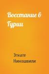 Эгнате Ниношвили - Восстание в Гурии
