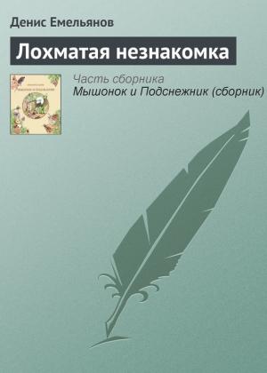 Обложка книги «Лохматая незнакомка» — Денис Емельянов
