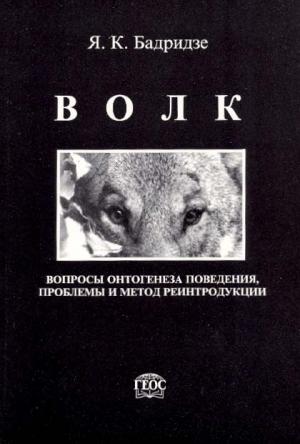 Обложка книги «Волк» — Ясон Бадридзе