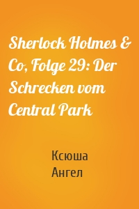 Sherlock Holmes & Co, Folge 29: Der Schrecken vom Central Park