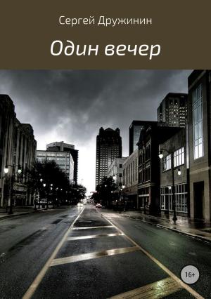 Обложка книги «Один вечер» — Сергей Дружинин