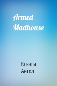 Armed Madhouse