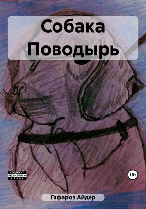 Обложка книги «Собака Поводырь» — Айдер Гафаров