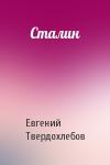 Евгений Твердохлебов - Сталин
