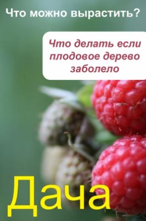 Обложка книги «Что можно вырастить? Что делать, если плодовое дерево заболело» — Илья Мельников
