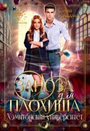 Обложка книги «Заноза для плохиша: Хэмптонский университет (СИ)» — Сима Гольдман