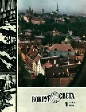 Обложка книги «Странный падающий камень» — Збигнев Дворак, Роман Данак