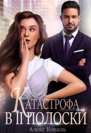 Обложка книги «Катастрофа в две полоски» — Алекс Коваль