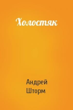 Обложка книги «Холостяк» — Андрей Шторм