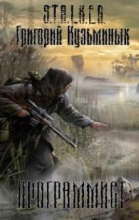 Обложка книги «Программист» — Григорий Кузьминых