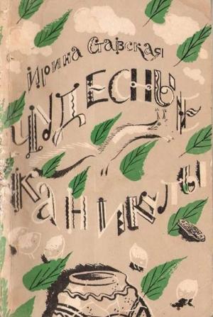 Обложка книги «Чудесные каникулы» — Ирина Ставская